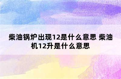 柴油锅炉出现12是什么意思 柴油机12升是什么意思